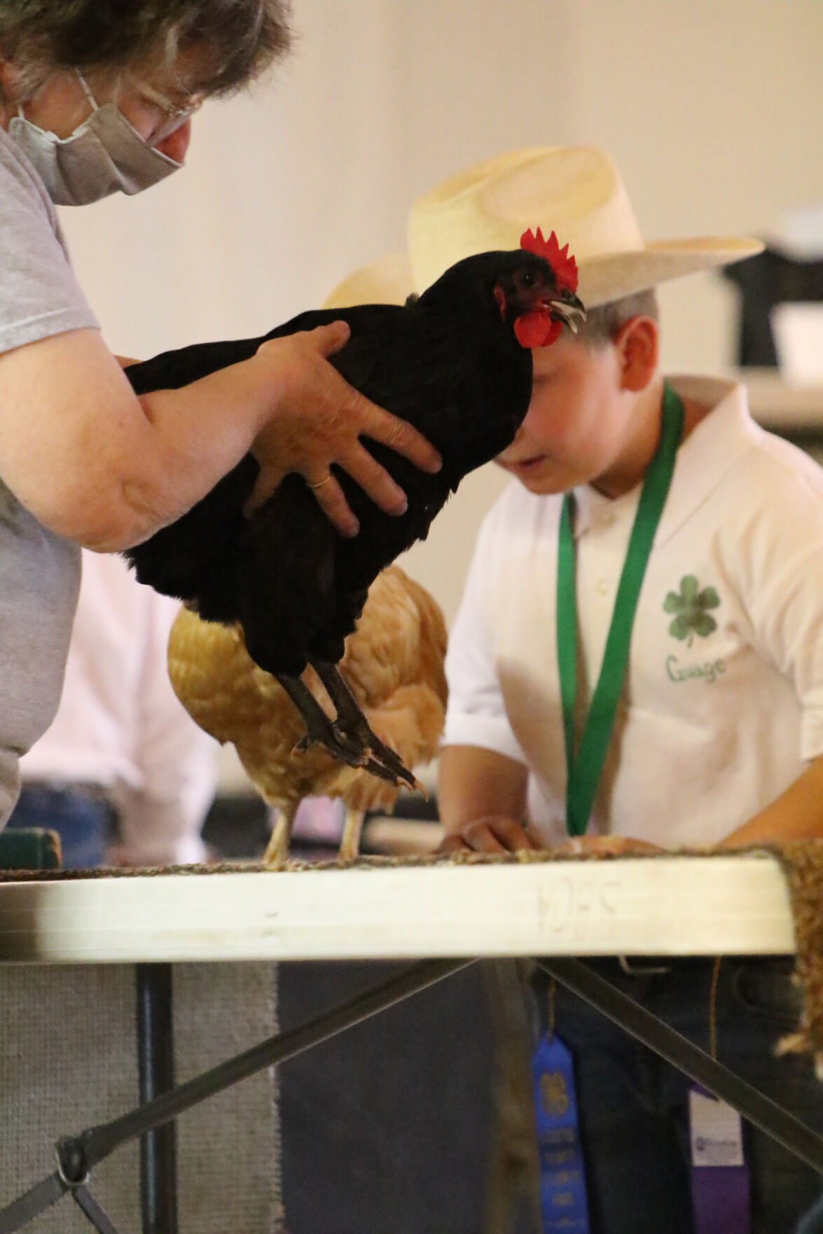 PHOTOS: Poultry Show at Scotts Bluff County Fair 2020